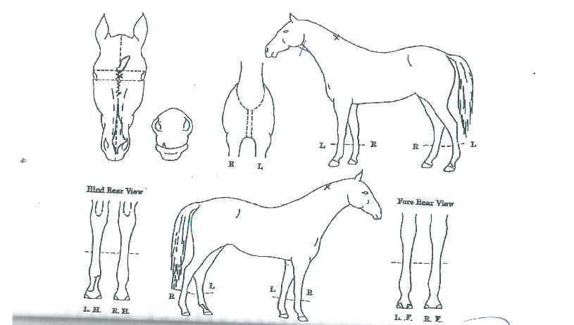 ����Ÿ���� ����,���,�޸�,�λ�,�ٸ��� Ư¡����