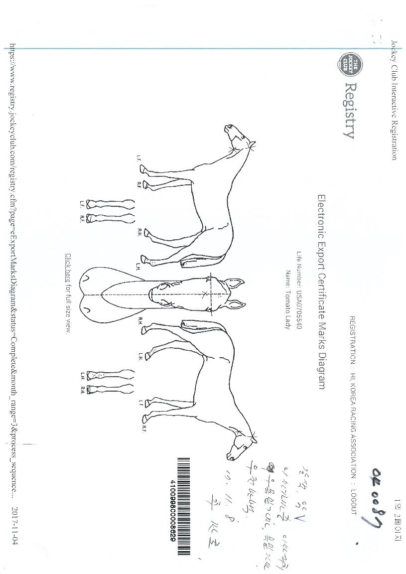 �丶�䷹�̵��� ����,���,�޸�,�λ�,�ٸ��� Ư¡����