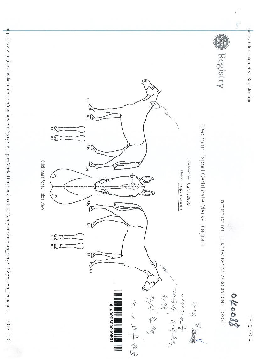 Ÿ����帲�� ����,���,�޸�,�λ�,�ٸ��� Ư¡����