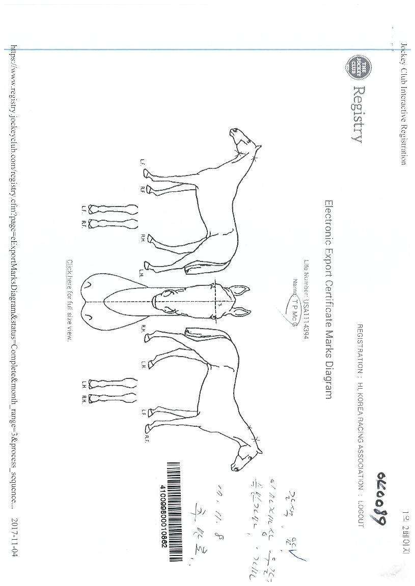 ƼÇǸÆÁöÀÇ Ãø¸é,¿ì¸é,µÞ¸é,µÎ»ó,´Ù¸®ÀÇ Æ¯Â¡µµÇØ