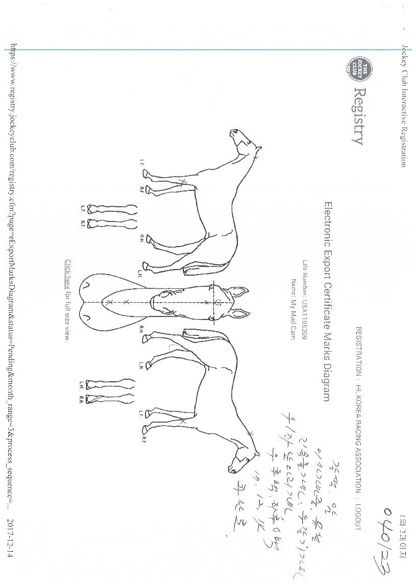 ¸¶À̸ŵåÄ·ÀÇ Ãø¸é,¿ì¸é,µÞ¸é,µÎ»ó,´Ù¸®ÀÇ Æ¯Â¡µµÇØ