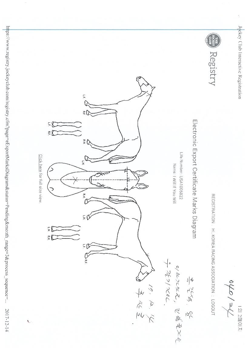 ���̿����������� ����,���,�޸�,�λ�,�ٸ��� Ư¡����