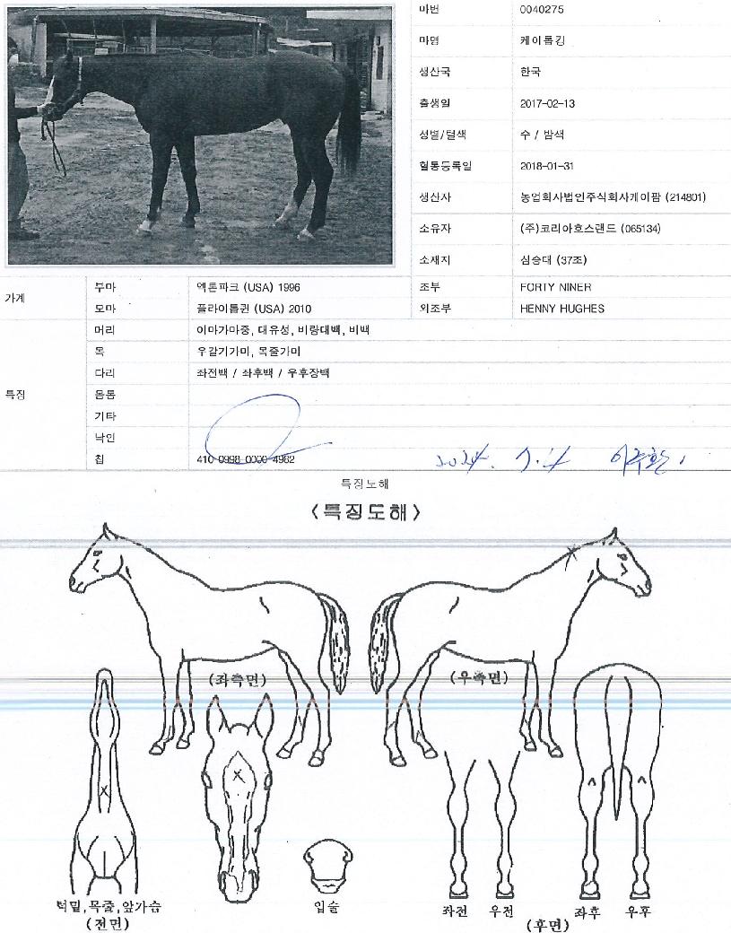 ������ŷ�� ����,���,�޸�,�λ�,�ٸ��� Ư¡����