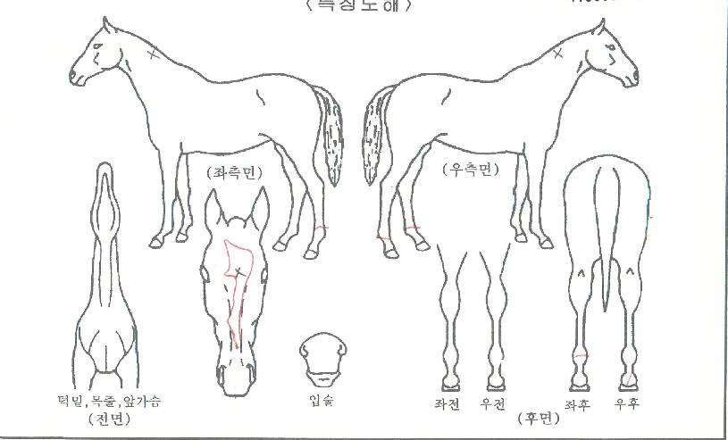 ��Ƽ���� ����,���,�޸�,�λ�,�ٸ��� Ư¡����