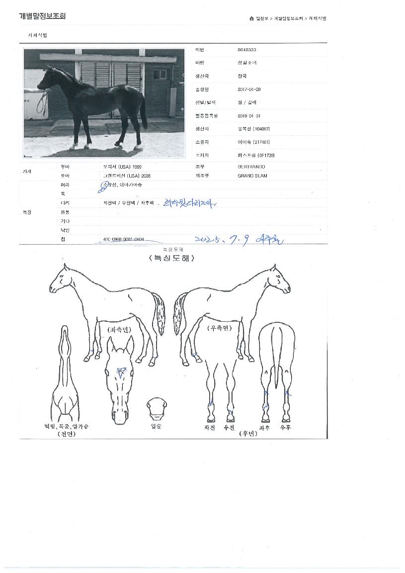 ¼º½Ç¼Ò³àÀÇ Ãø¸é,¿ì¸é,µÞ¸é,µÎ»ó,´Ù¸®ÀÇ Æ¯Â¡µµÇØ