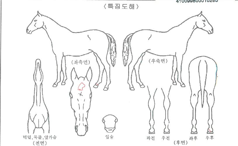 �¸������� ����,���,�޸�,�λ�,�ٸ��� Ư¡����