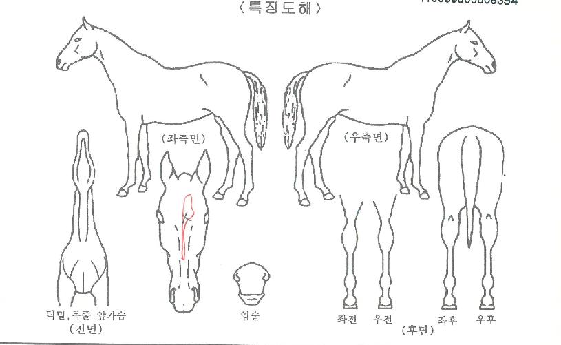 û�����̺��� ����,���,�޸�,�λ�,�ٸ��� Ư¡����