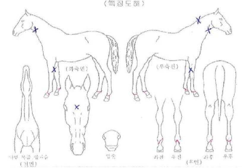 ��׼����� ����,���,�޸�,�λ�,�ٸ��� Ư¡����