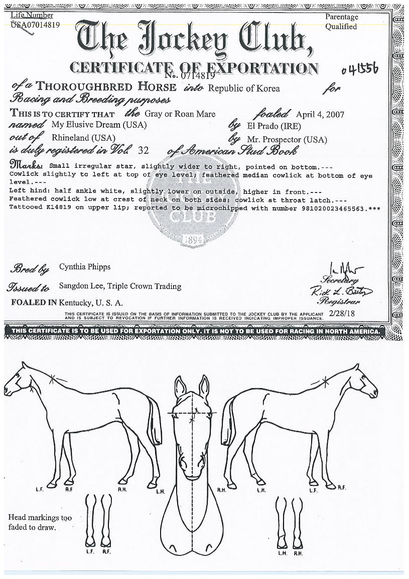 ¸¶ÀÌÀÏ·ç½Ãºêµå¸²ÀÇ Ãø¸é,¿ì¸é,µÞ¸é,µÎ»ó,´Ù¸®ÀÇ Æ¯Â¡µµÇØ