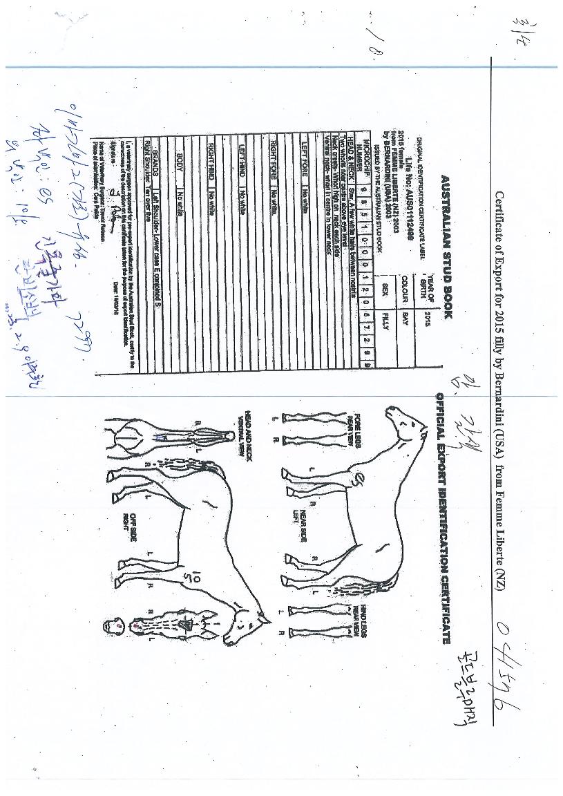 °ñµåºí·ç¸ÅÁ÷ÀÇ Ãø¸é,¿ì¸é,µÞ¸é,µÎ»ó,´Ù¸®ÀÇ Æ¯Â¡µµÇØ