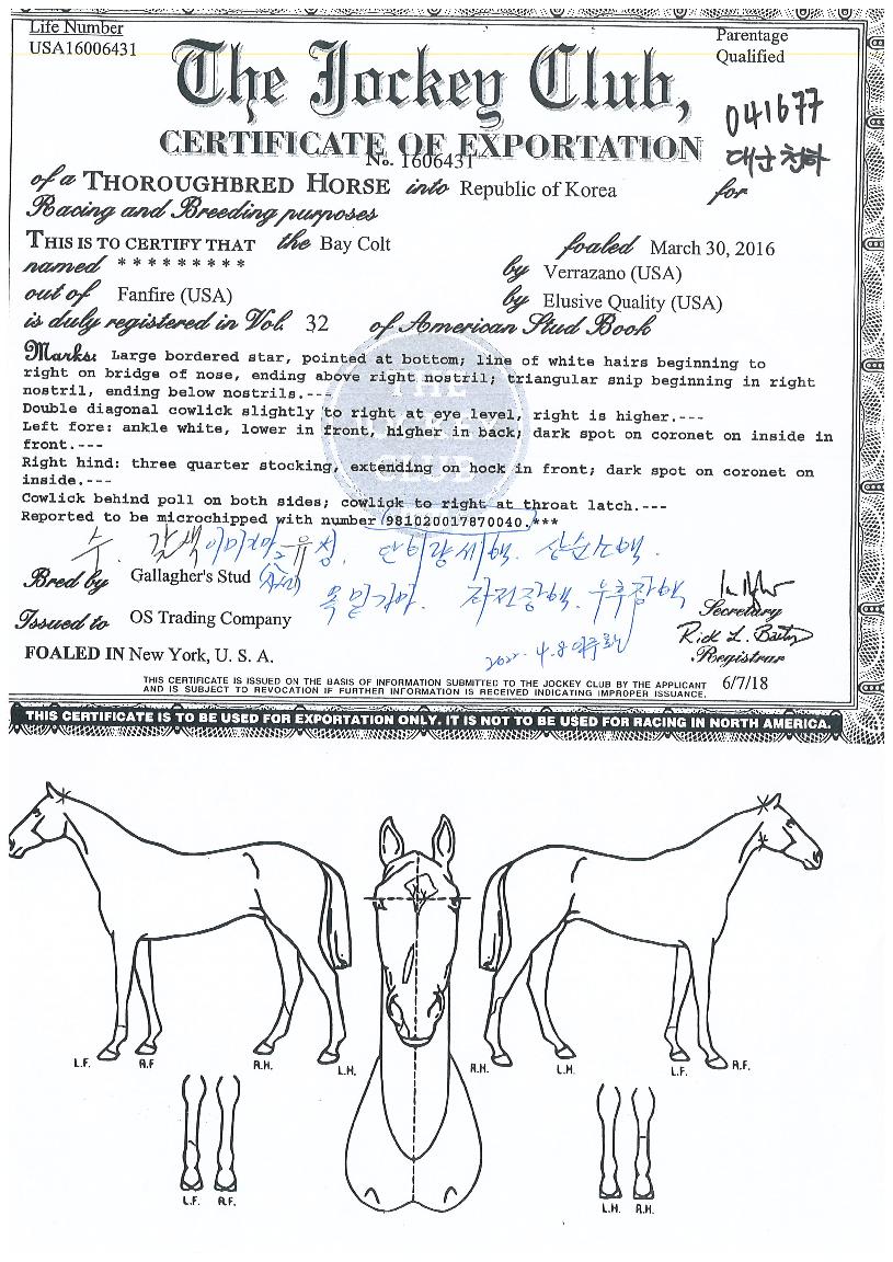 �뱺õ���� ����,���,�޸�,�λ�,�ٸ��� Ư¡����