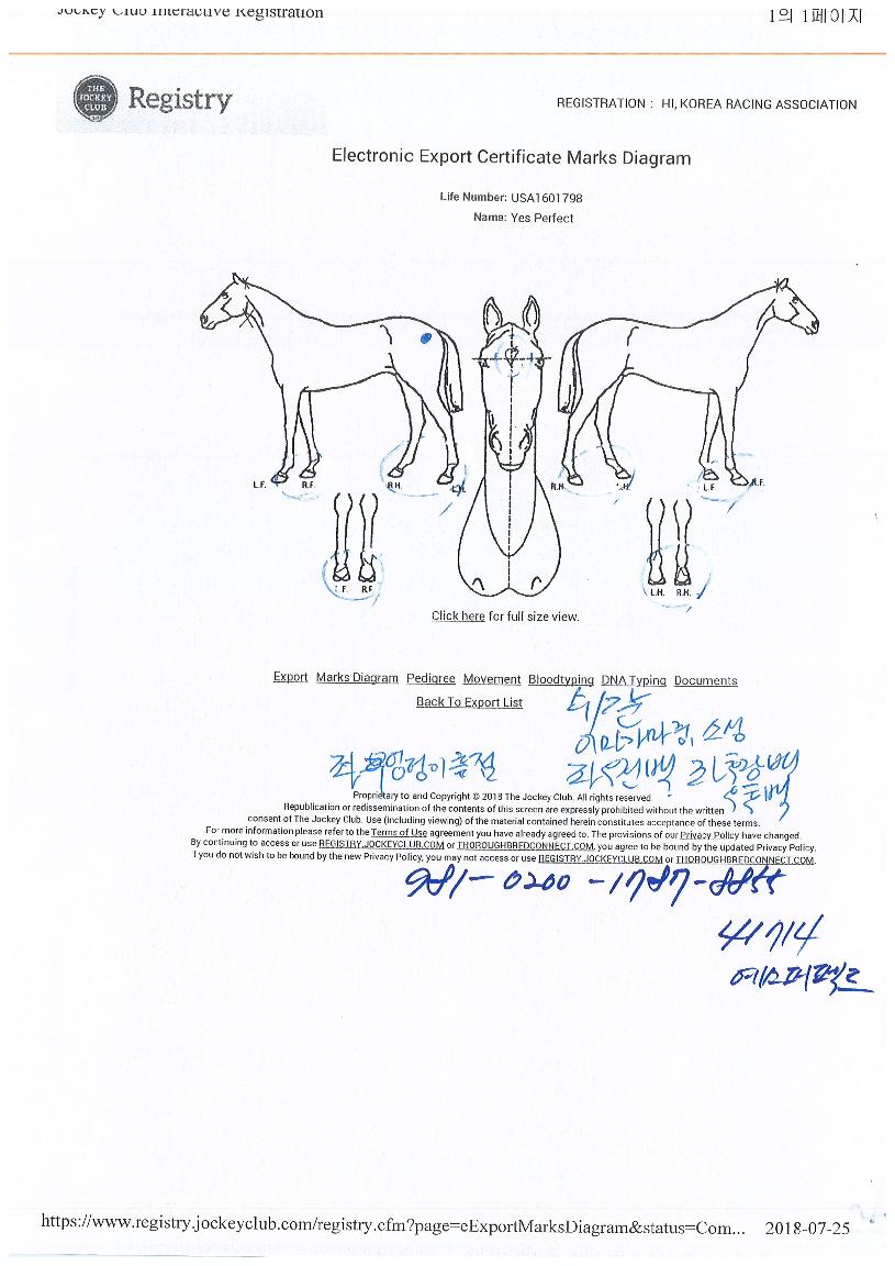 ¿¹½ºÆÛÆåÆ®ÀÇ Ãø¸é,¿ì¸é,µÞ¸é,µÎ»ó,´Ù¸®ÀÇ Æ¯Â¡µµÇØ