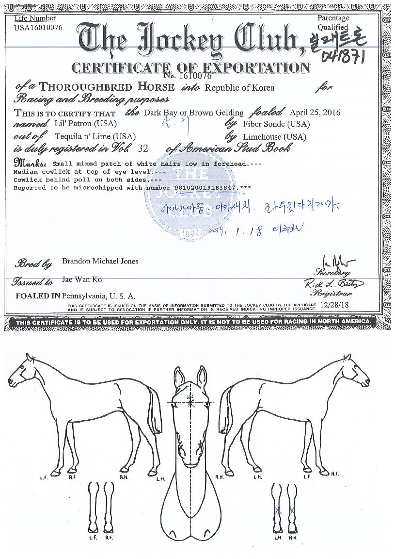 ����Ʈ���� ����,���,�޸�,�λ�,�ٸ��� Ư¡����