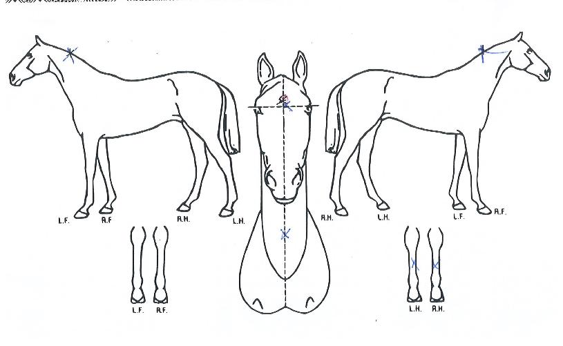 �Ƹ޸�ĭ�������� ����,���,�޸�,�λ�,�ٸ��� Ư¡����