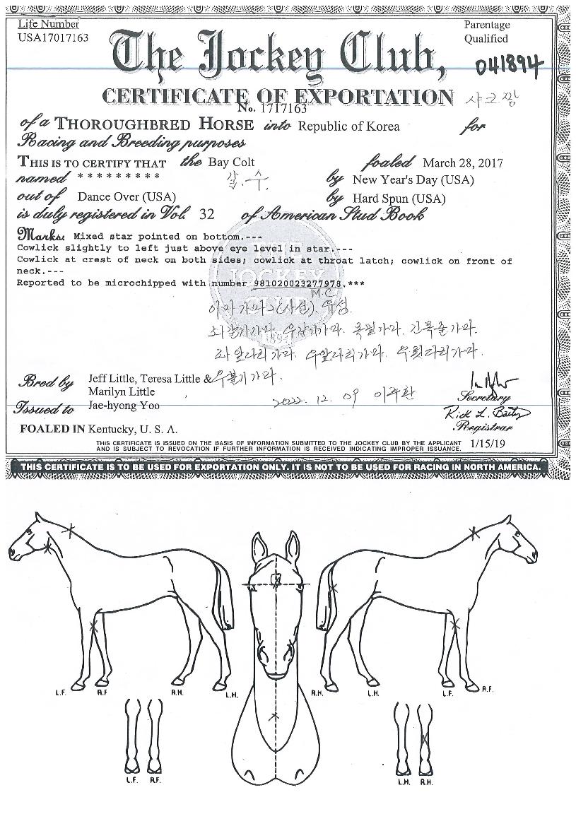 ��ũ¯�� ����,���,�޸�,�λ�,�ٸ��� Ư¡����