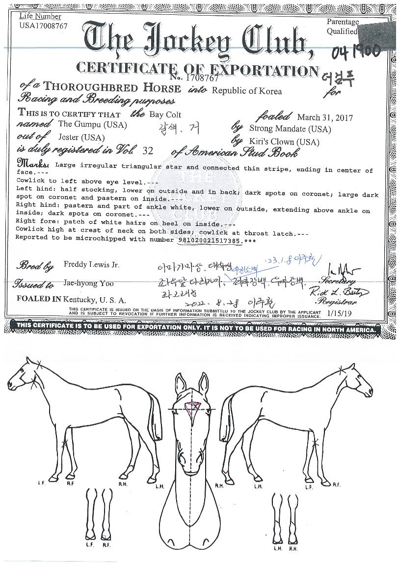 ´õ°ËǪÀÇ Ãø¸é,¿ì¸é,µÞ¸é,µÎ»ó,´Ù¸®ÀÇ Æ¯Â¡µµÇØ