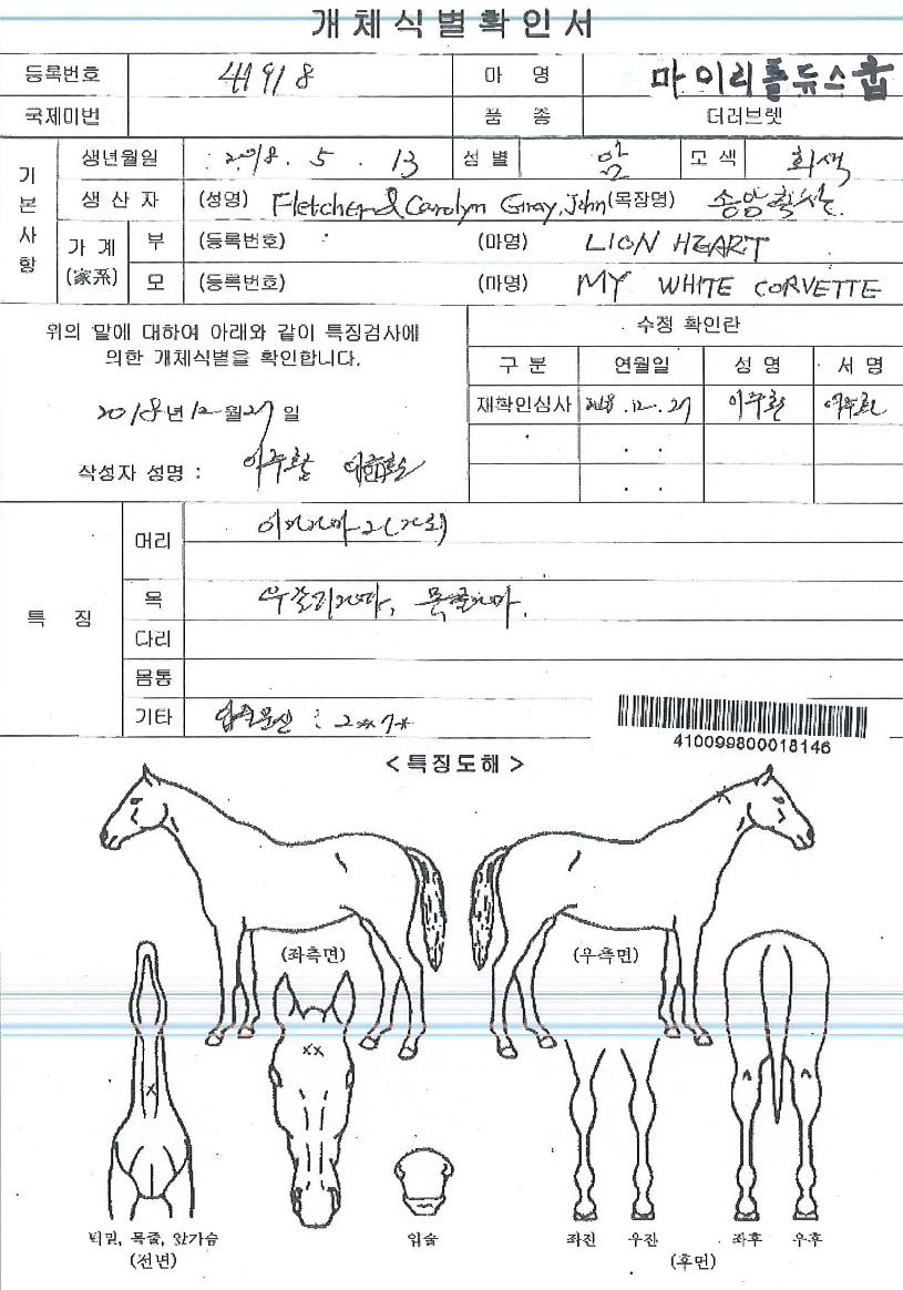 ���̸�Ʋ�ེ���� ����,���,�޸�,�λ�,�ٸ��� Ư¡����