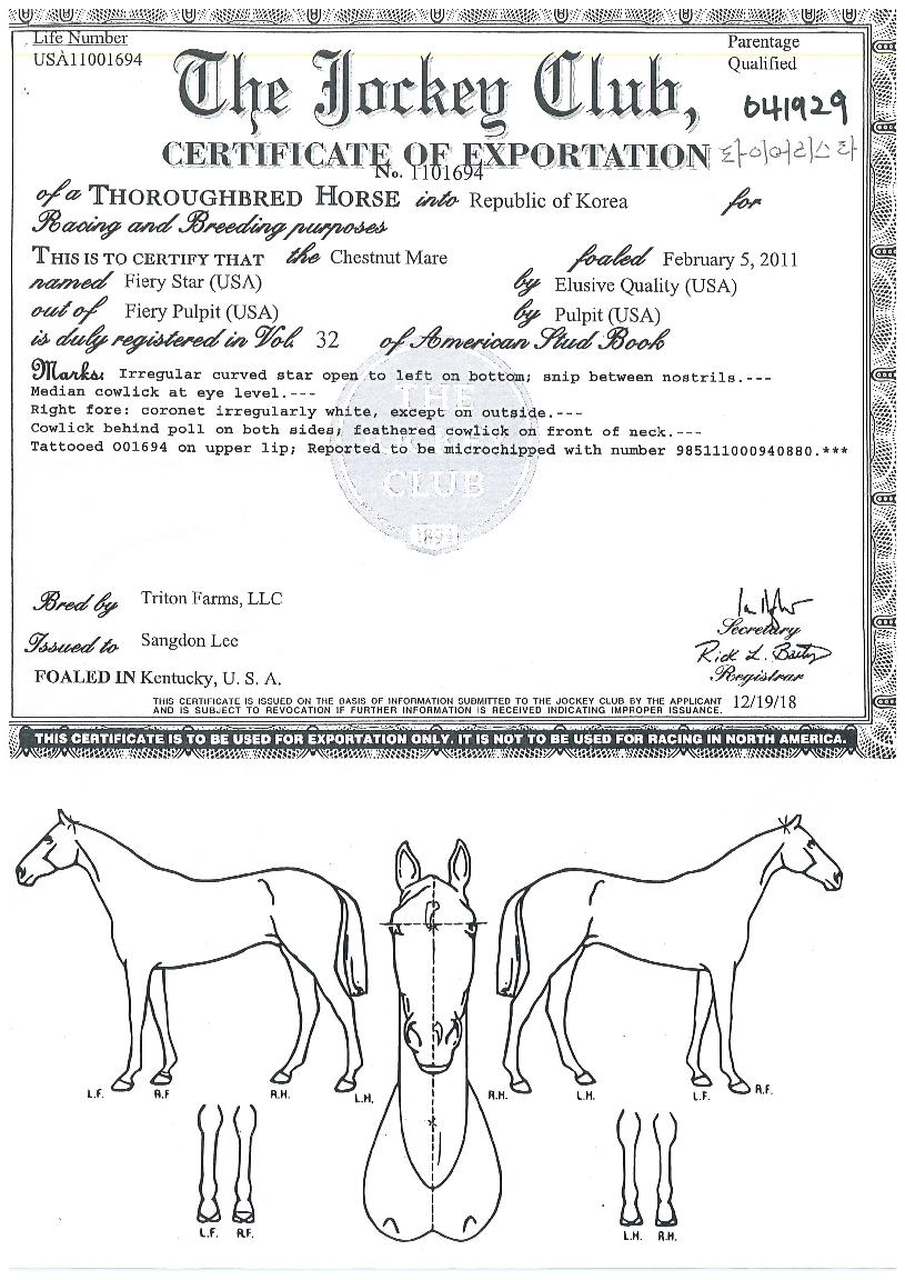 ÆÄÀ̾½ºÅ¸ÀÇ Ãø¸é,¿ì¸é,µÞ¸é,µÎ»ó,´Ù¸®ÀÇ Æ¯Â¡µµÇØ