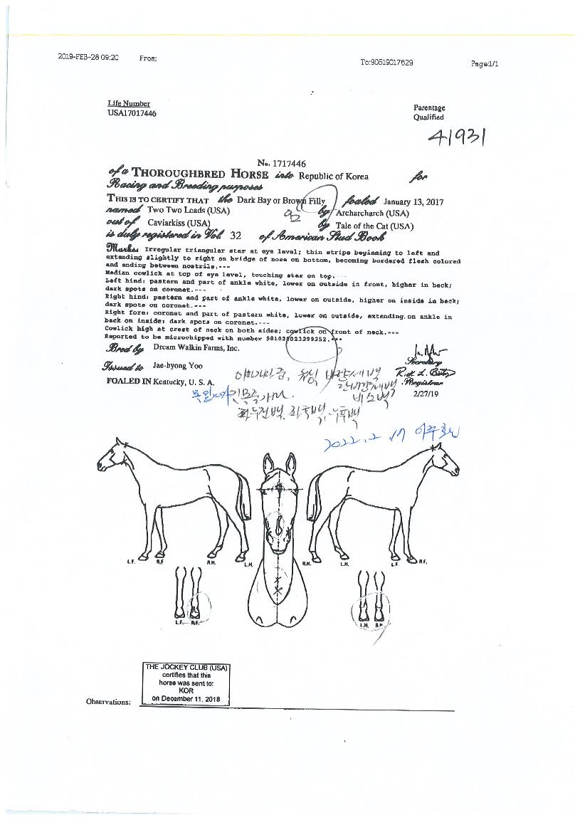 ÅõÅõ¸®ÁîÀÇ Ãø¸é,¿ì¸é,µÞ¸é,µÎ»ó,´Ù¸®ÀÇ Æ¯Â¡µµÇØ