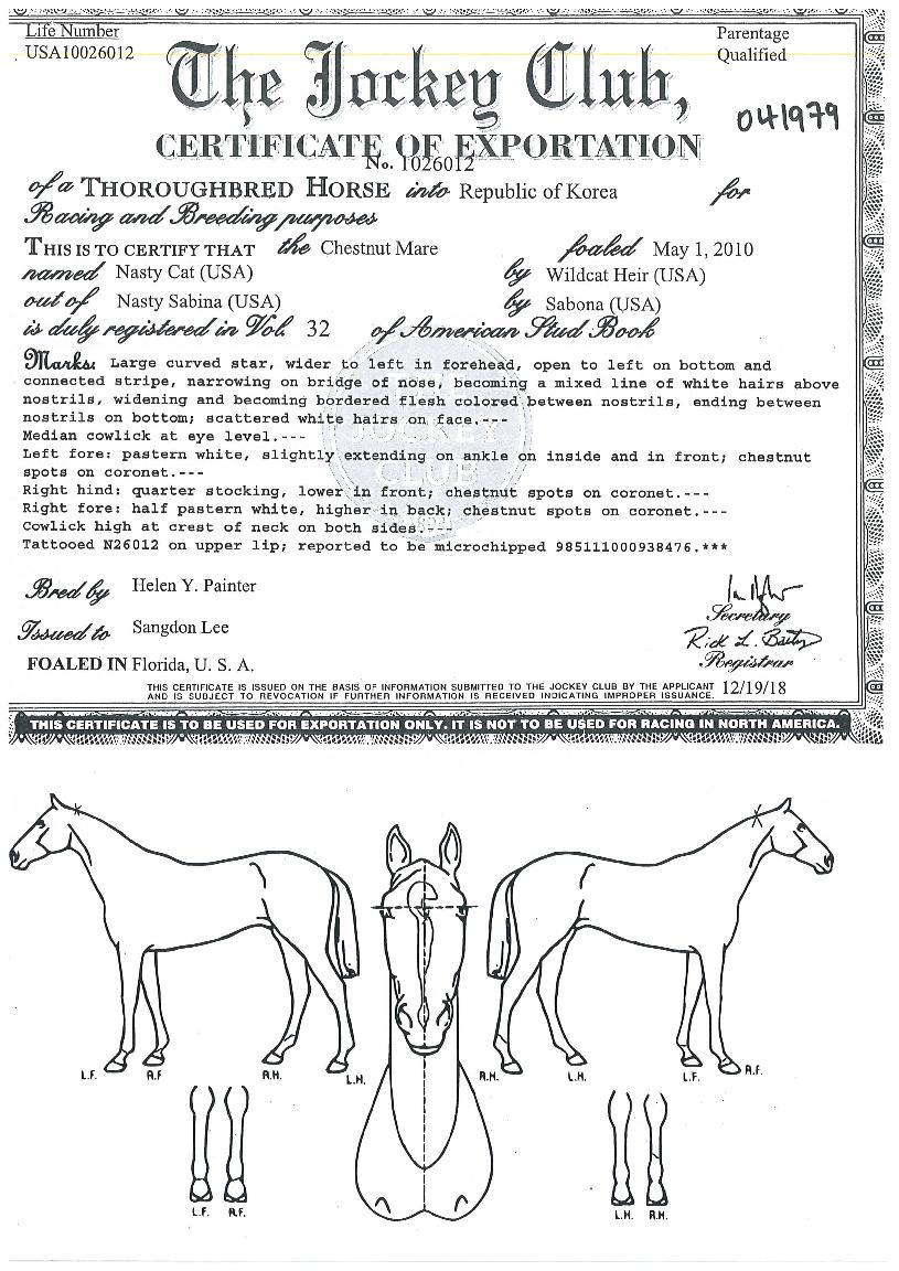 ³ª½ºÆ¼Ä¹ÀÇ Ãø¸é,¿ì¸é,µÞ¸é,µÎ»ó,´Ù¸®ÀÇ Æ¯Â¡µµÇØ