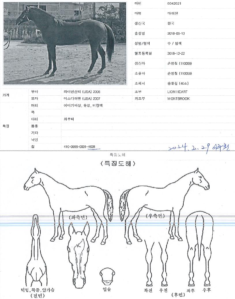 ¸¶ÀÌÀ©ÀÇ Ãø¸é,¿ì¸é,µÞ¸é,µÎ»ó,´Ù¸®ÀÇ Æ¯Â¡µµÇØ