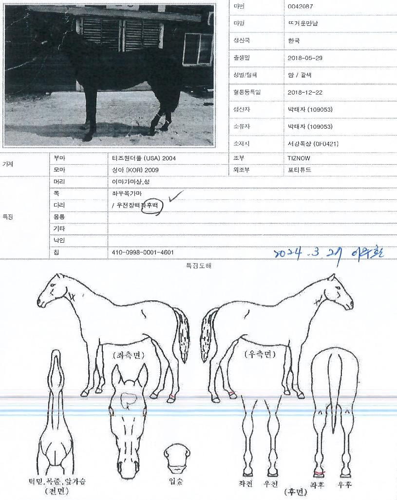 �߰ſ���� ����,���,�޸�,�λ�,�ٸ��� Ư¡����