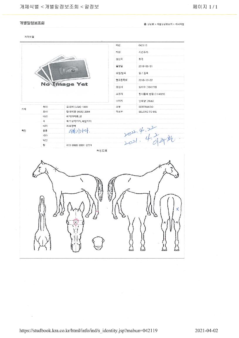 ½Ã¼±ÁÖ¸¶ÀÇ Ãø¸é,¿ì¸é,µÞ¸é,µÎ»ó,´Ù¸®ÀÇ Æ¯Â¡µµÇØ