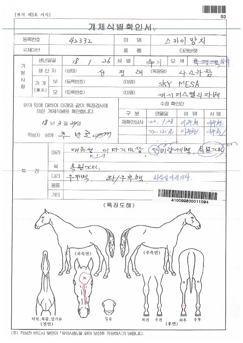 ��ī�̸�ġ�� ����,���,�޸�,�λ�,�ٸ��� Ư¡����