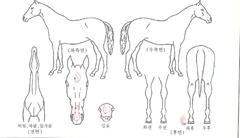 ����Ʈ�������� ����,���,�޸�,�λ�,�ٸ��� Ư¡����