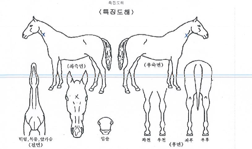 �¾�Ÿ���� ����,���,�޸�,�λ�,�ٸ��� Ư¡����