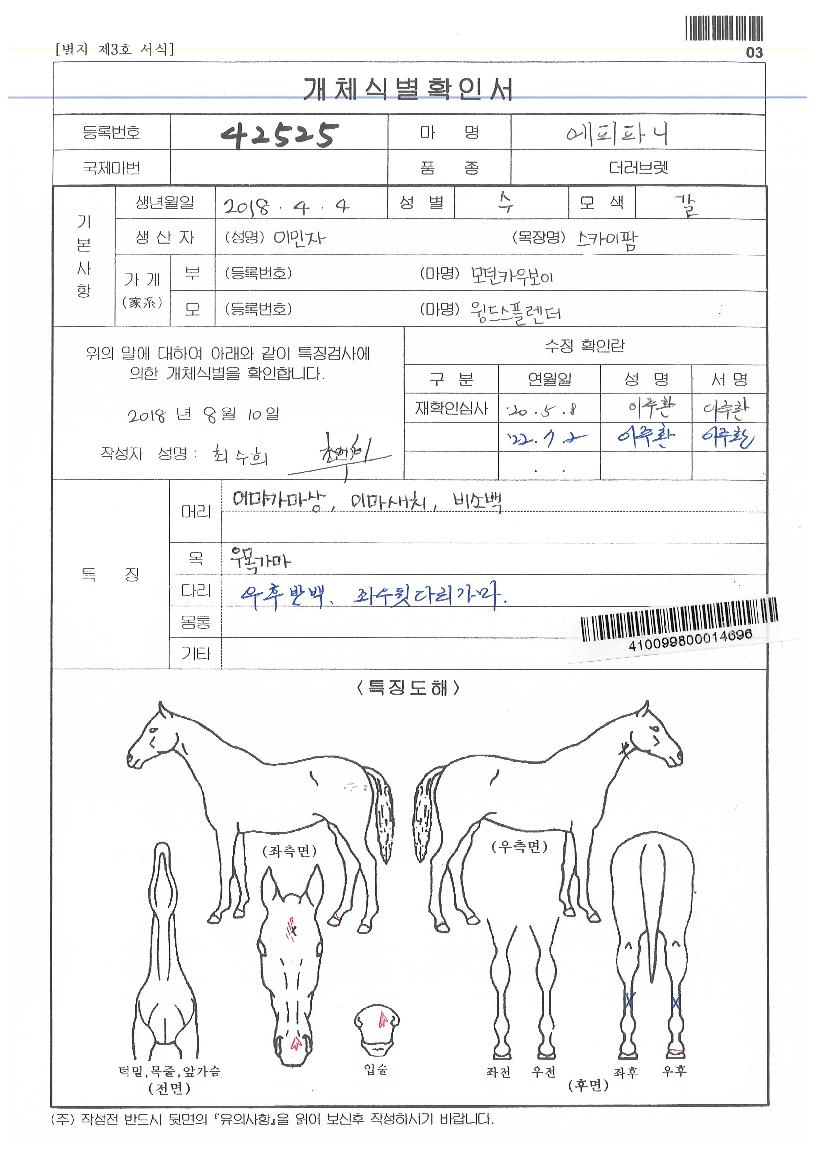 ¿¡ÇÇÆÄ´ÏÀÇ Ãø¸é,¿ì¸é,µÞ¸é,µÎ»ó,´Ù¸®ÀÇ Æ¯Â¡µµÇØ