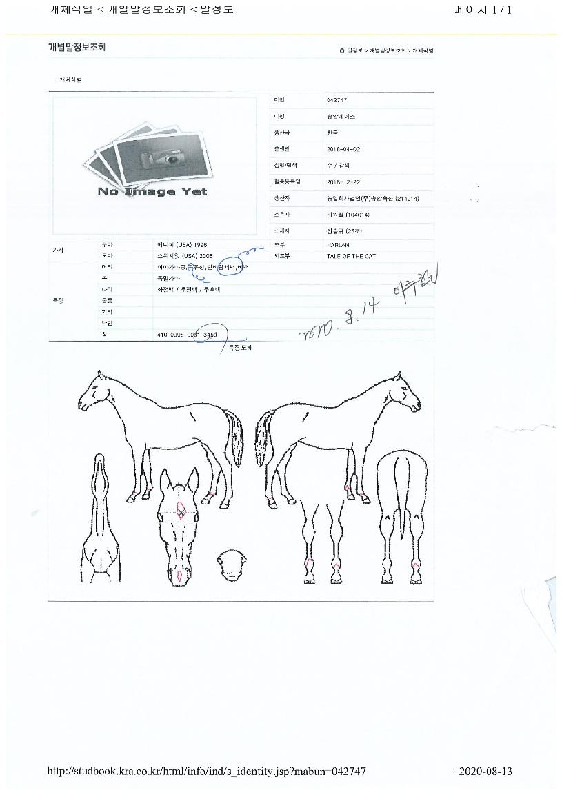 ¼Û¾Ï¿¡À̽ºÀÇ Ãø¸é,¿ì¸é,µÞ¸é,µÎ»ó,´Ù¸®ÀÇ Æ¯Â¡µµÇØ