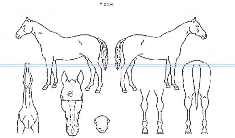 ����Ŭ������ ����,���,�޸�,�λ�,�ٸ��� Ư¡����