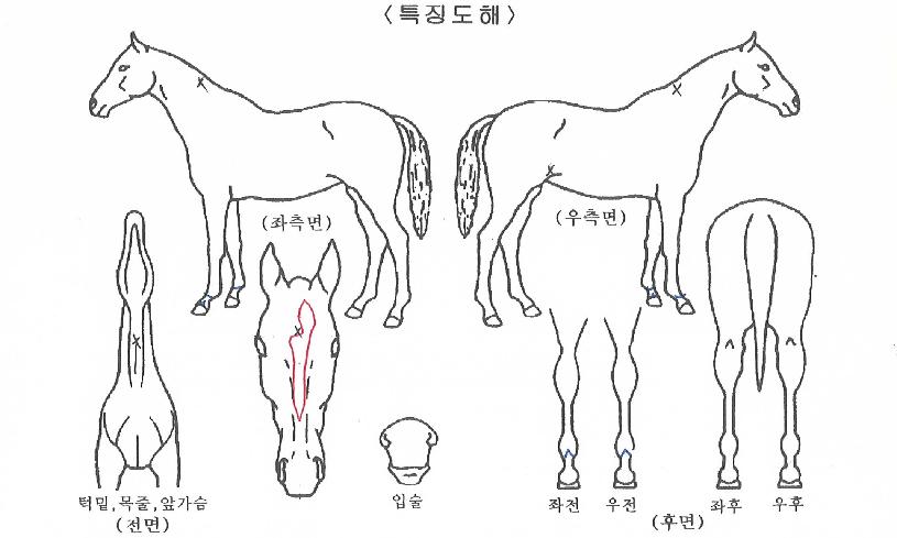 ��������ũ�� ����,���,�޸�,�λ�,�ٸ��� Ư¡����