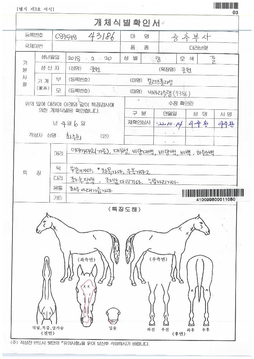 ÁßÃߺλçÀÇ Ãø¸é,¿ì¸é,µÞ¸é,µÎ»ó,´Ù¸®ÀÇ Æ¯Â¡µµÇØ