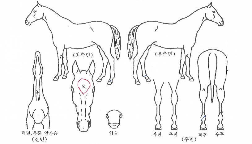 ����ũž�� ����,���,�޸�,�λ�,�ٸ��� Ư¡����