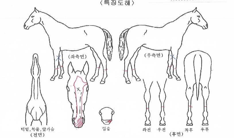 Ƽ���������� ����,���,�޸�,�λ�,�ٸ��� Ư¡����