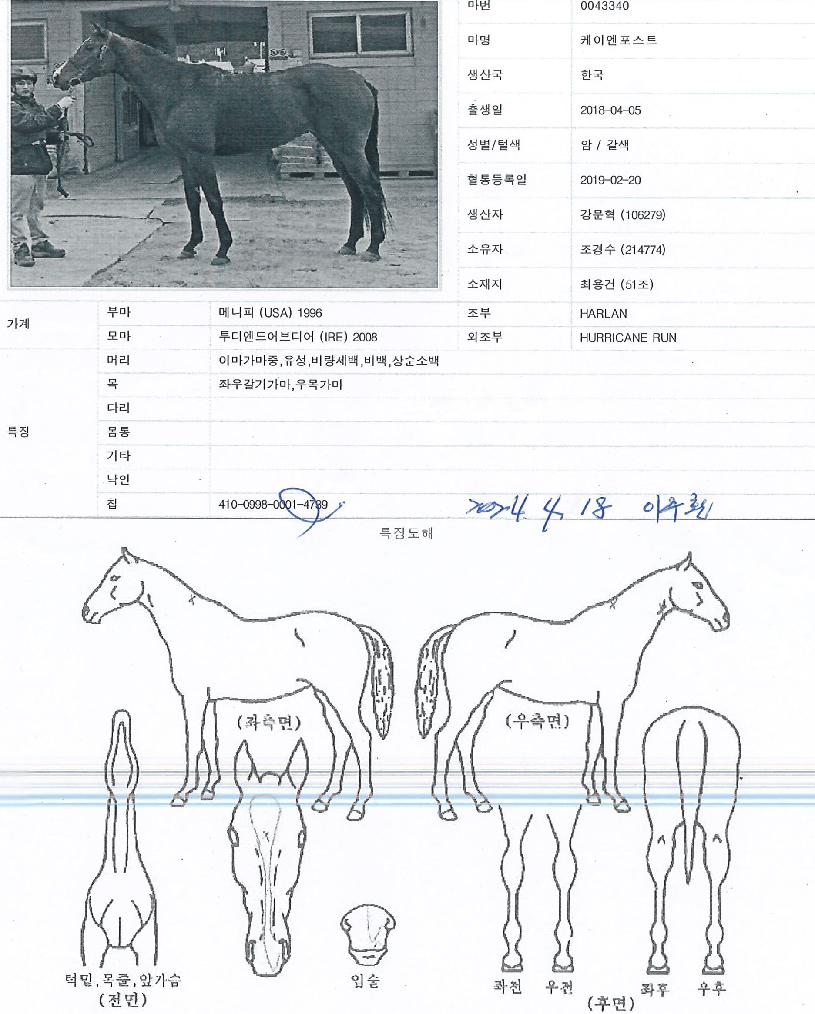 ÄÉÀÌ¿£Æ÷½ºÆ®ÀÇ Ãø¸é,¿ì¸é,µÞ¸é,µÎ»ó,´Ù¸®ÀÇ Æ¯Â¡µµÇØ