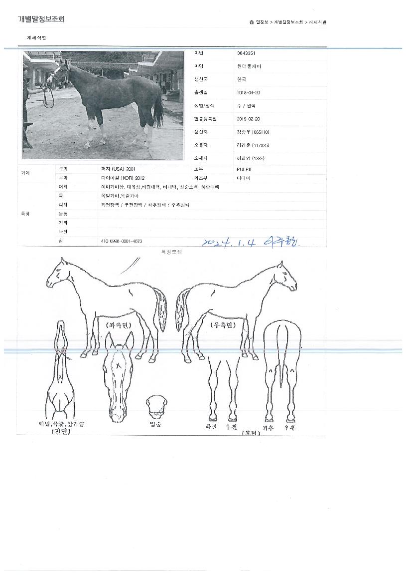 ����Ǯ������ ����,���,�޸�,�λ�,�ٸ��� Ư¡����