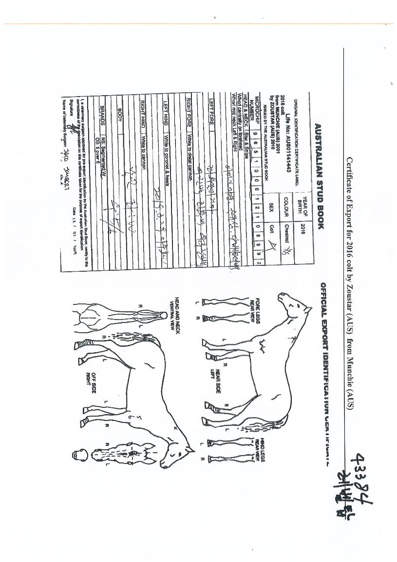 ·¹º§Å¾ÀÇ Ãø¸é,¿ì¸é,µÞ¸é,µÎ»ó,´Ù¸®ÀÇ Æ¯Â¡µµÇØ