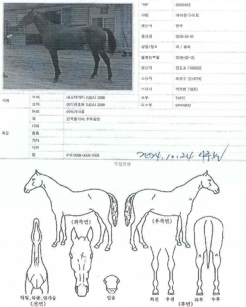 ÄÉÀÌ¿£¶óÀÌÆ®ÀÇ Ãø¸é,¿ì¸é,µÞ¸é,µÎ»ó,´Ù¸®ÀÇ Æ¯Â¡µµÇØ