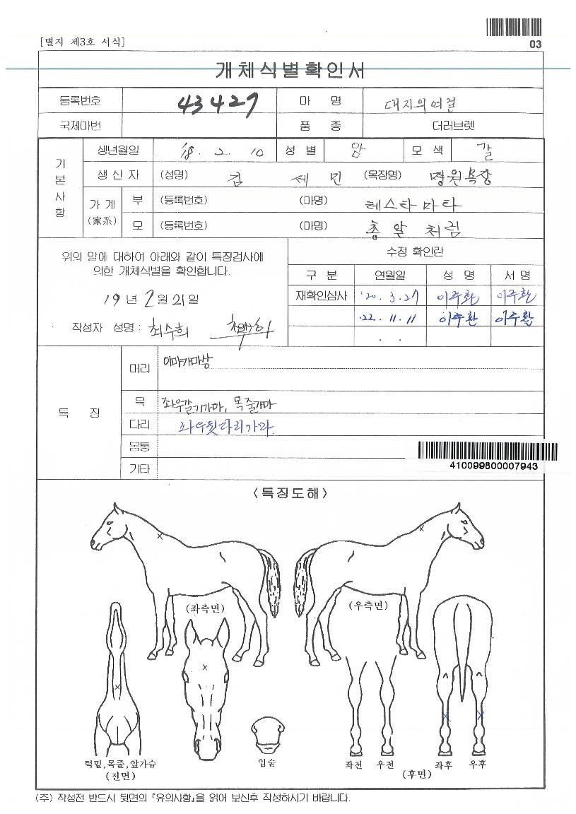 ´ëÁöÀÇ¿©°ÉÀÇ Ãø¸é,¿ì¸é,µÞ¸é,µÎ»ó,´Ù¸®ÀÇ Æ¯Â¡µµÇØ