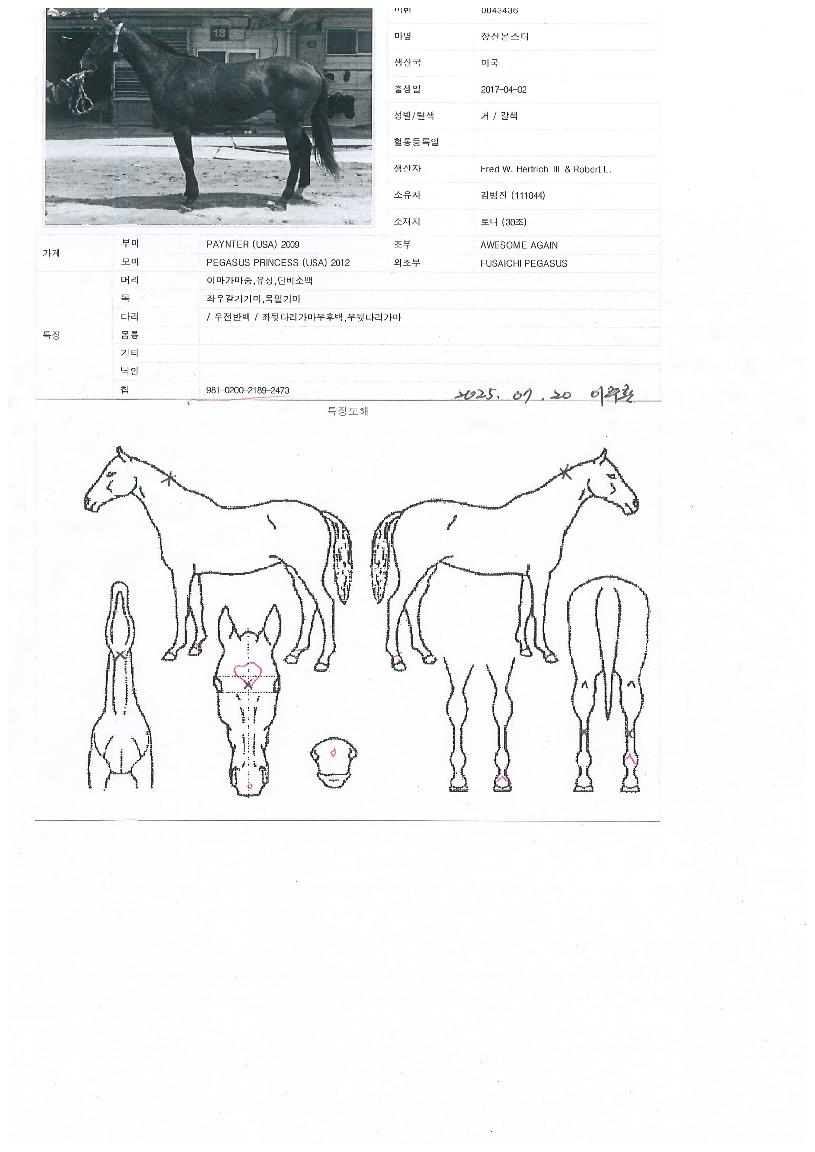 Àå»ê¸ó½ºÅÍÀÇ Ãø¸é,¿ì¸é,µÞ¸é,µÎ»ó,´Ù¸®ÀÇ Æ¯Â¡µµÇØ