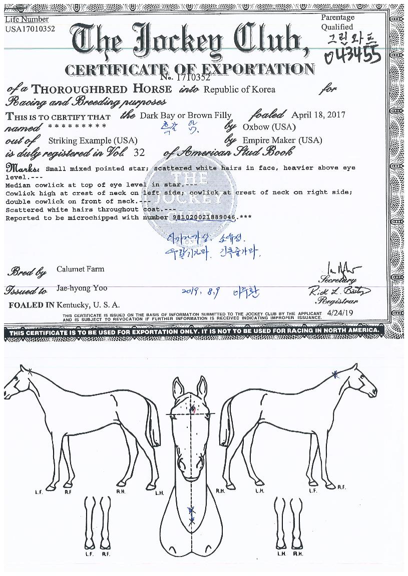 ±×¸°¿ÍÆ®ÀÇ Ãø¸é,¿ì¸é,µÞ¸é,µÎ»ó,´Ù¸®ÀÇ Æ¯Â¡µµÇØ