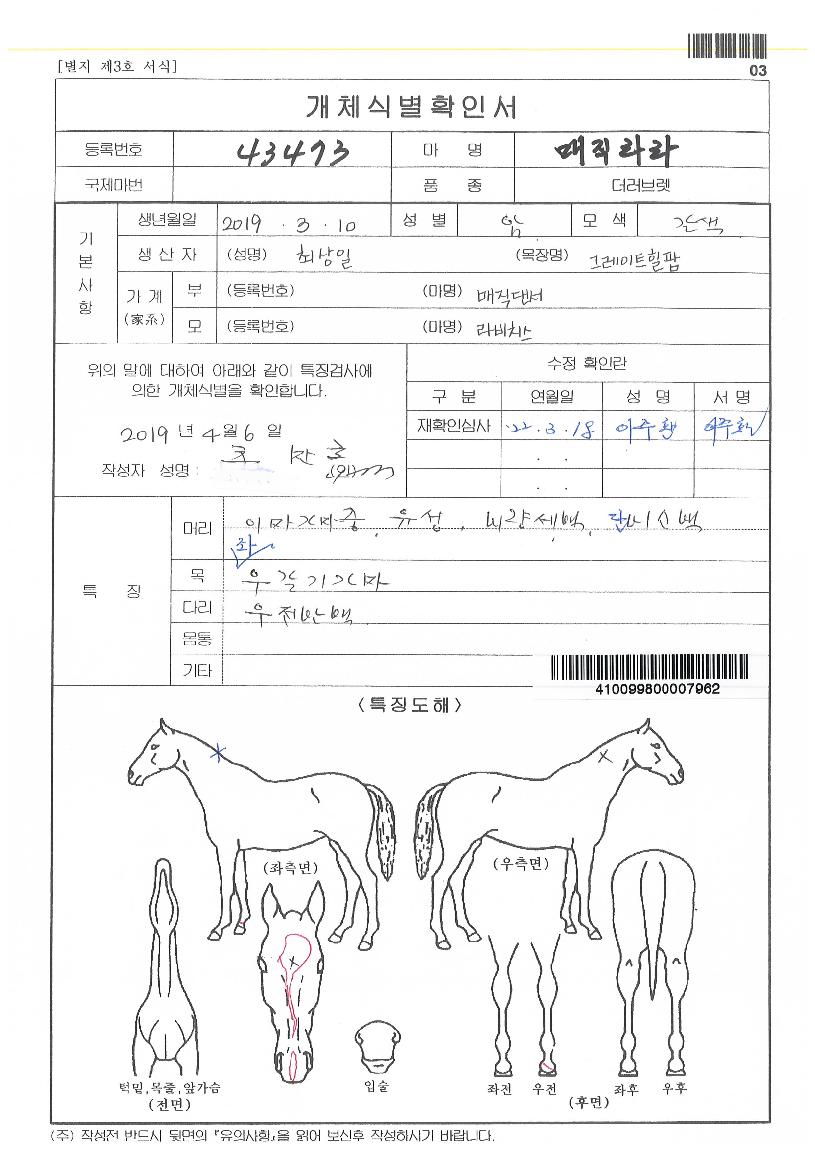 ¸ÅÁ÷¶ó¶óÀÇ Ãø¸é,¿ì¸é,µÞ¸é,µÎ»ó,´Ù¸®ÀÇ Æ¯Â¡µµÇØ