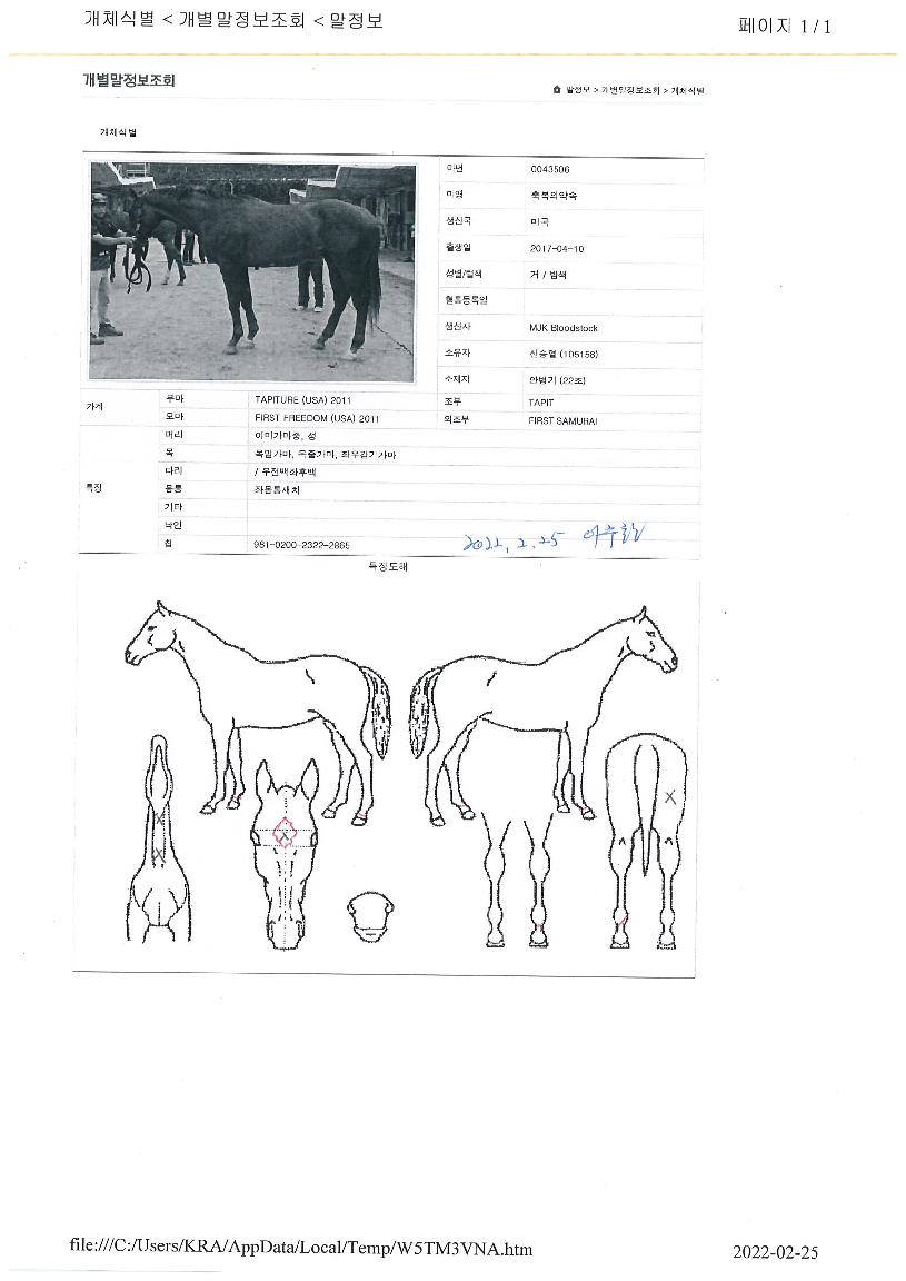 �ູ�Ǿ���� ����,���,�޸�,�λ�,�ٸ��� Ư¡����