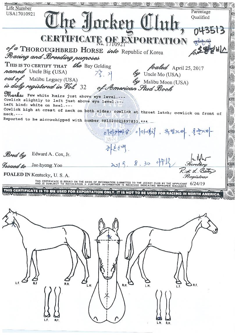 ·Î¿¿¤ºñ½ºÀÇ Ãø¸é,¿ì¸é,µÞ¸é,µÎ»ó,´Ù¸®ÀÇ Æ¯Â¡µµÇØ