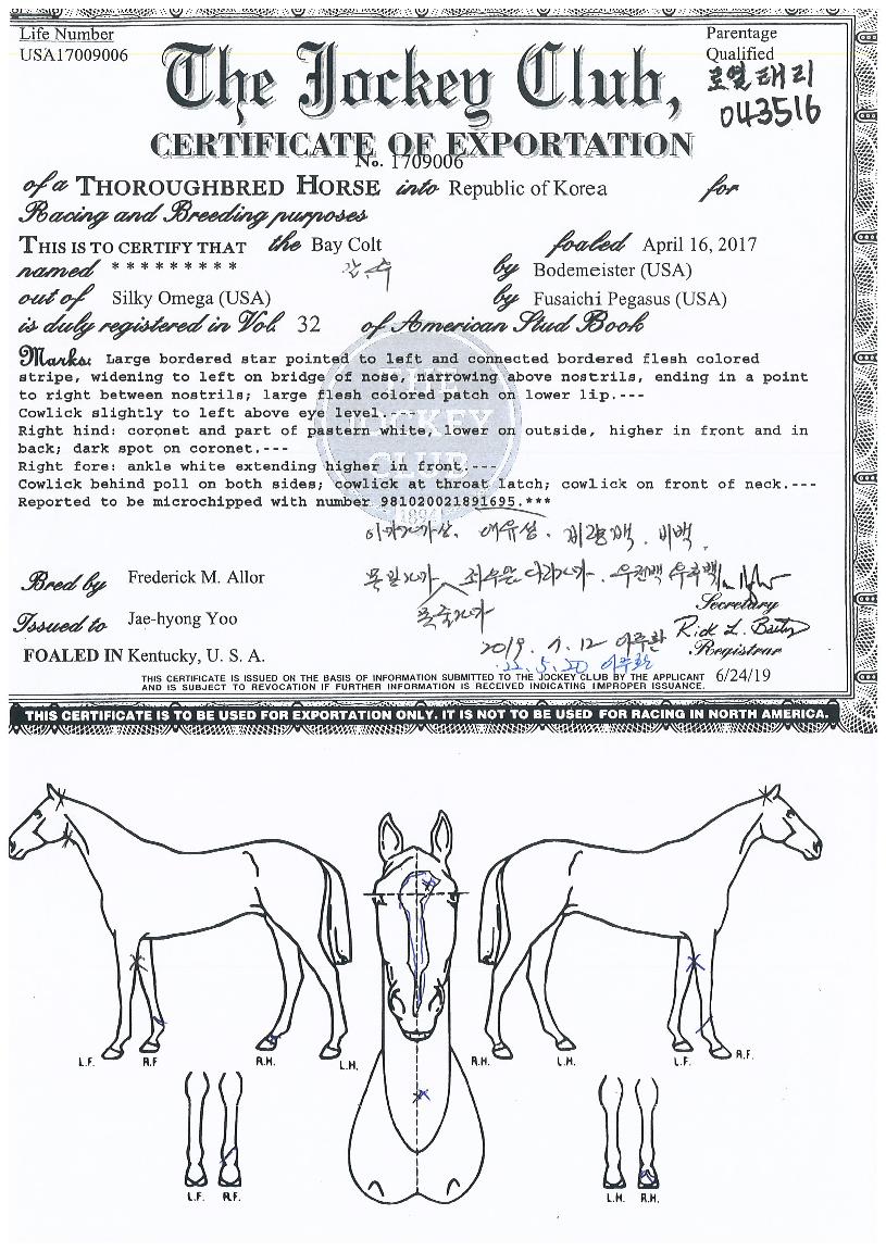 �ο��¸��� ����,���,�޸�,�λ�,�ٸ��� Ư¡����