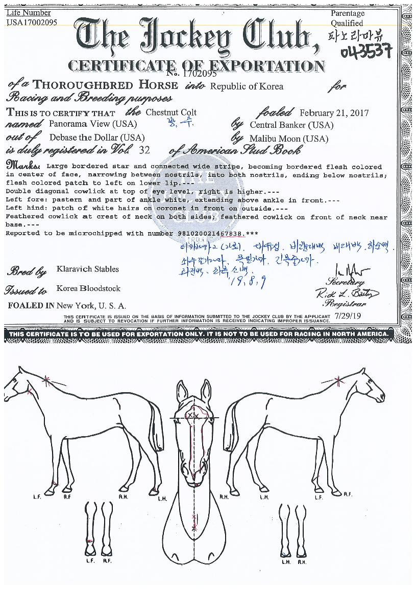 �ĳ�󸶺��� ����,���,�޸�,�λ�,�ٸ��� Ư¡����