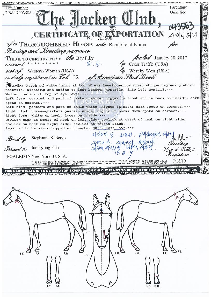 ����������� ����,���,�޸�,�λ�,�ٸ��� Ư¡����